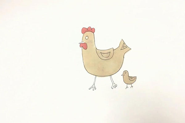 鸡的简笔画