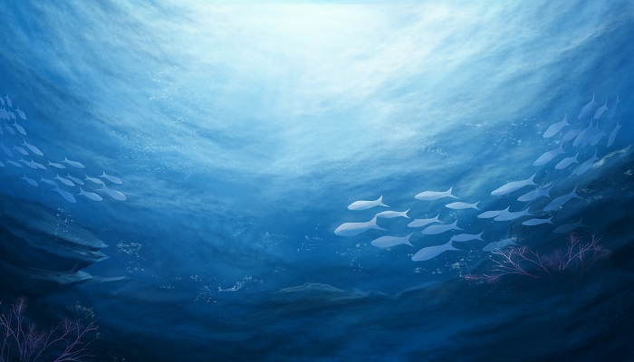 海底世界课文从哪几个方面介绍海底世界的