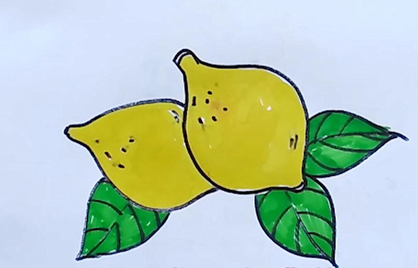 柠檬简笔画  柠檬画法