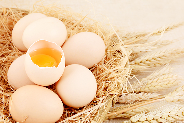 鸡蛋的营养价值及功效与作用