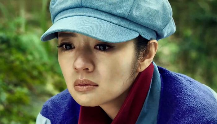 沈渔的双重身份是什么