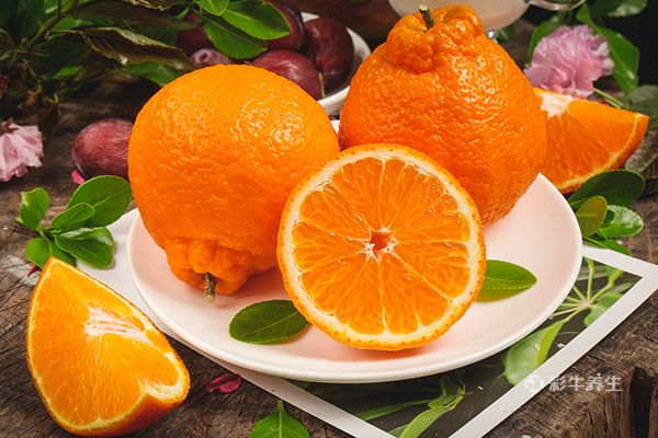 柑橘和桔子有什么区别