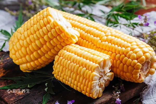玉米的营养价值和功效