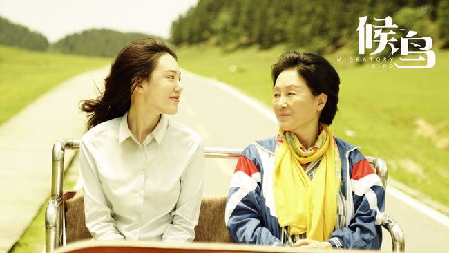 继《李焕英》后的又一母女催泪片《候鸟》430上映