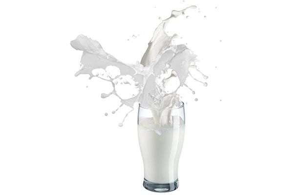 金典有机奶和纯牛奶区别
