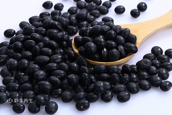 黑豆泡酒的功效与作用