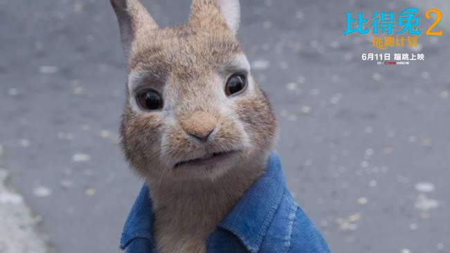 《比得兔2：逃跑计划》预售开启 引爆“吸兔”热潮