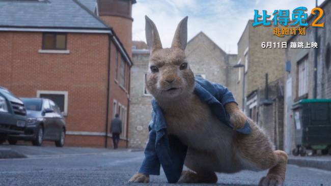《比得兔2：逃跑计划》上映 郭麒麟喊你吸兔解压