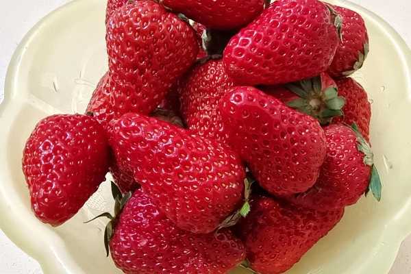 草莓不能和什么一起吃  草莓的相克食物